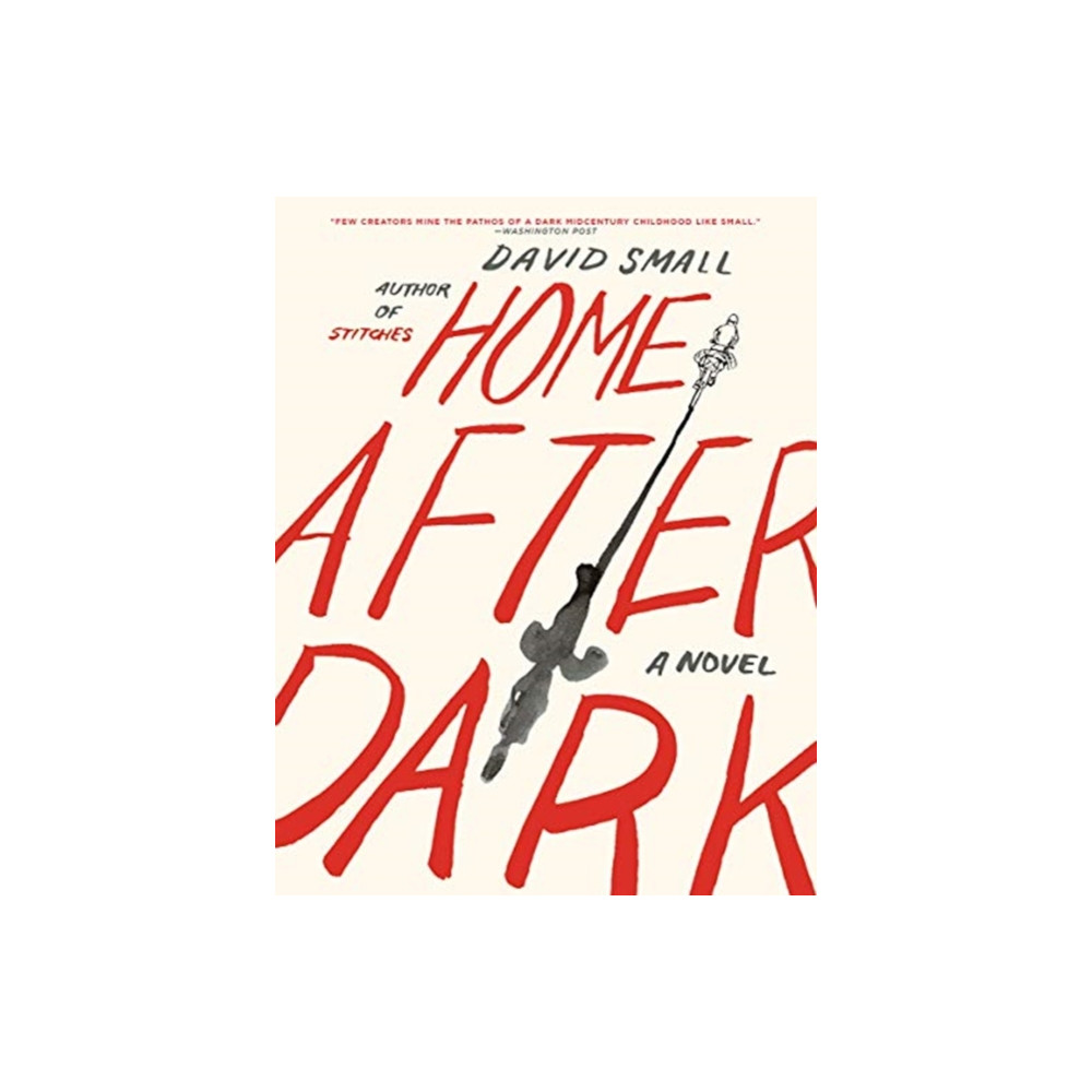 Produktbild för Home After Dark (häftad, eng)
