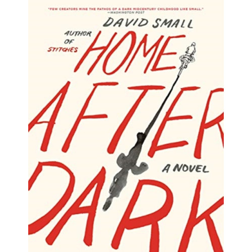 W W Norton & Co Ltd Home After Dark (häftad, eng)