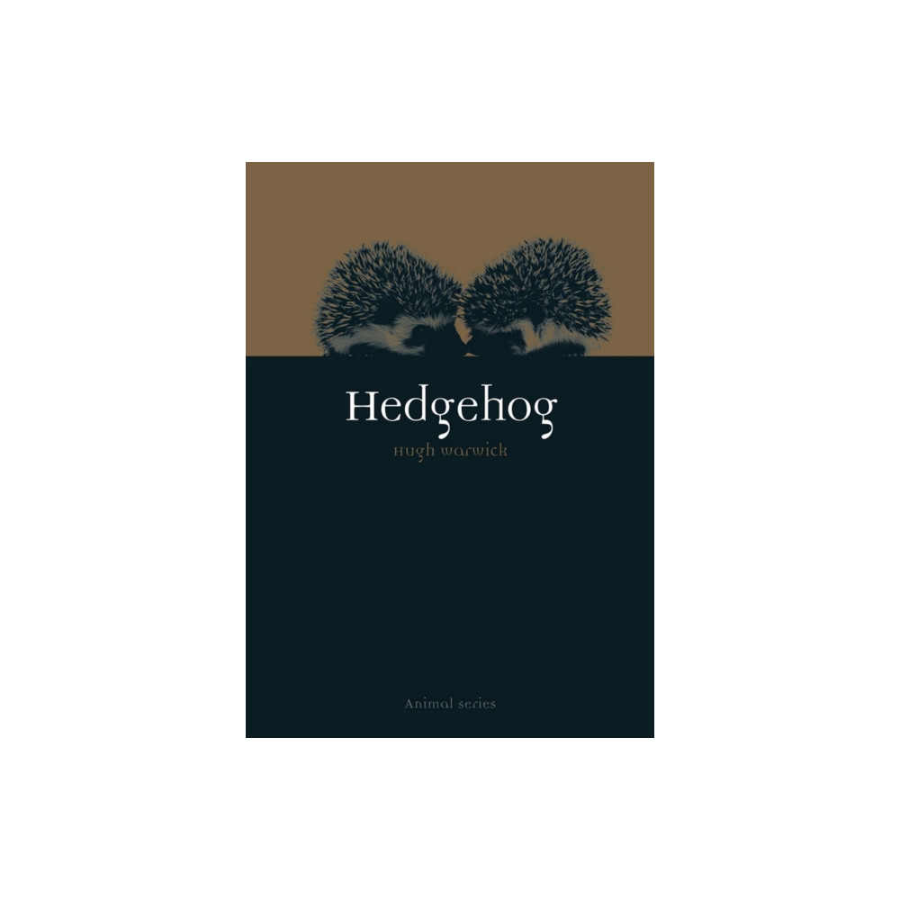 Produktbild för Hedgehog (häftad, eng)