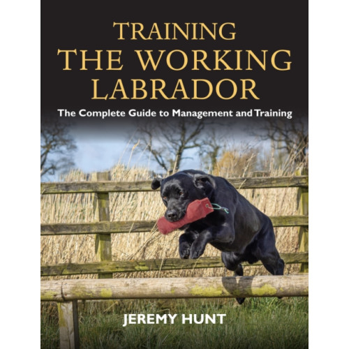 Quiller Publishing Ltd Training the Working Labrador (häftad, eng)