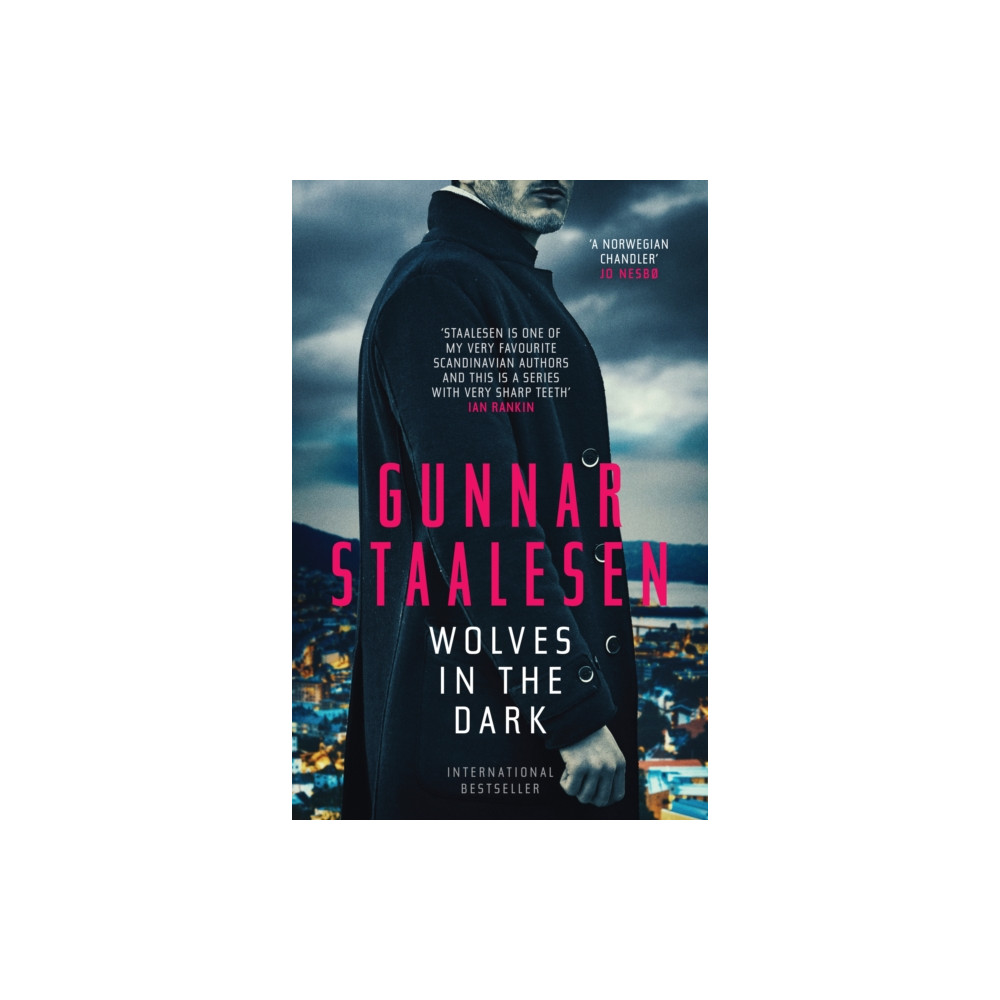 Produktbild för Wolves in the Dark (häftad, eng)