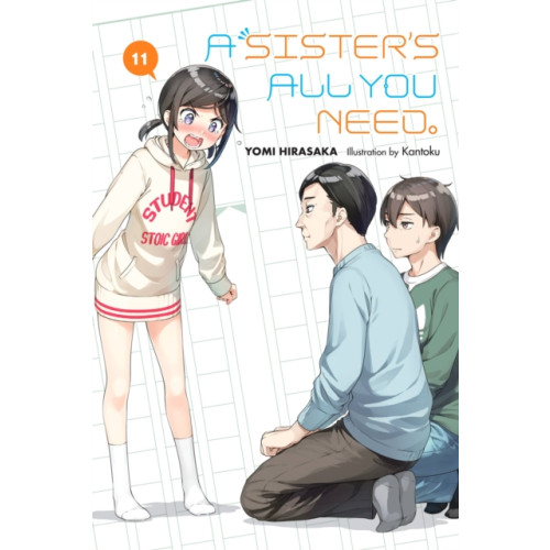 Little, Brown & Company A Sister's All You Need., Vol. 11 (light novel) (häftad, eng)