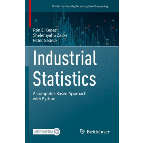 Birkhauser Verlag AG Industrial Statistics (häftad, eng)