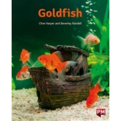SCHOLASTIC LTD PM ORANGE  GOLDFISH N FIC LEV16 (häftad, eng)