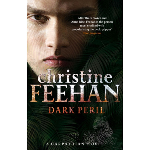 Little, Brown Book Group Dark Peril (häftad, eng)