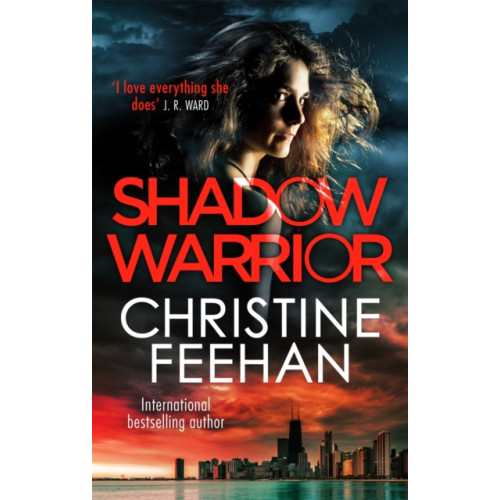 Little, Brown Book Group Shadow Warrior (häftad, eng)