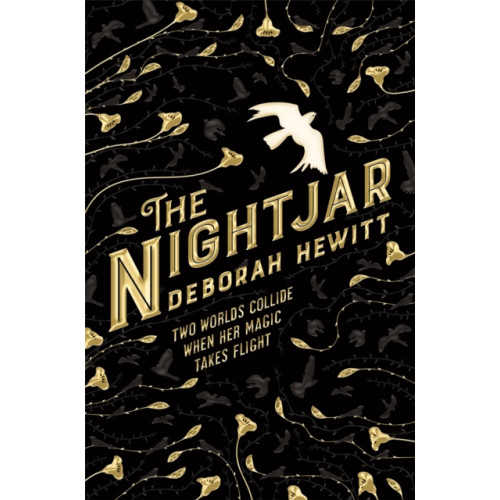 Pan Macmillan The Nightjar (häftad, eng)