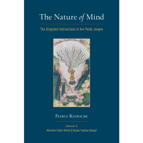 Shambhala Publications Inc The Nature of Mind (häftad, eng)