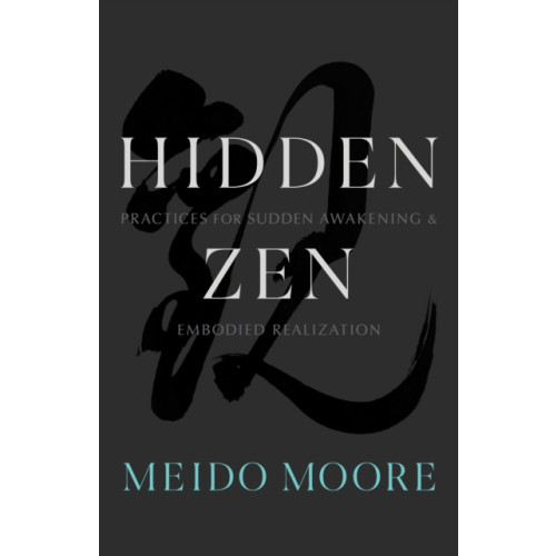 Shambhala Publications Inc Hidden Zen (häftad, eng)