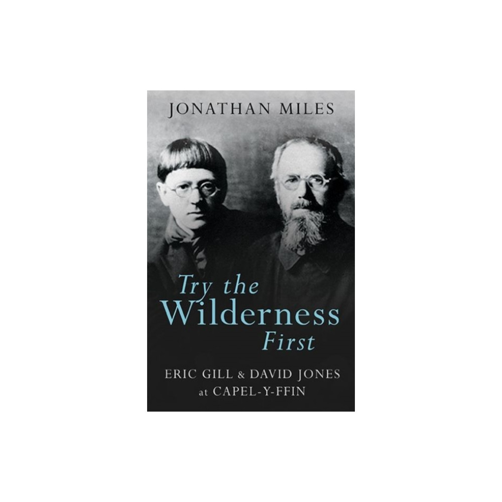 Produktbild för Try the Wilderness First (häftad, eng)