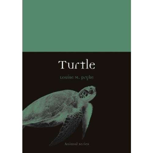 Reaktion Books Turtle (häftad, eng)