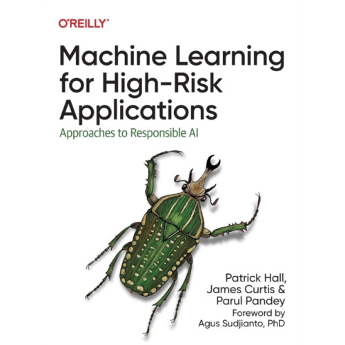 O'Reilly Media Machine Learning for High-Risk Applications (häftad, eng)