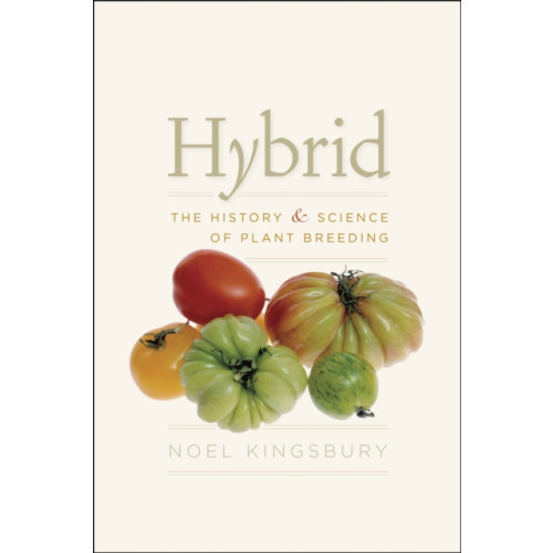 The university of chicago press Hybrid (häftad, eng)