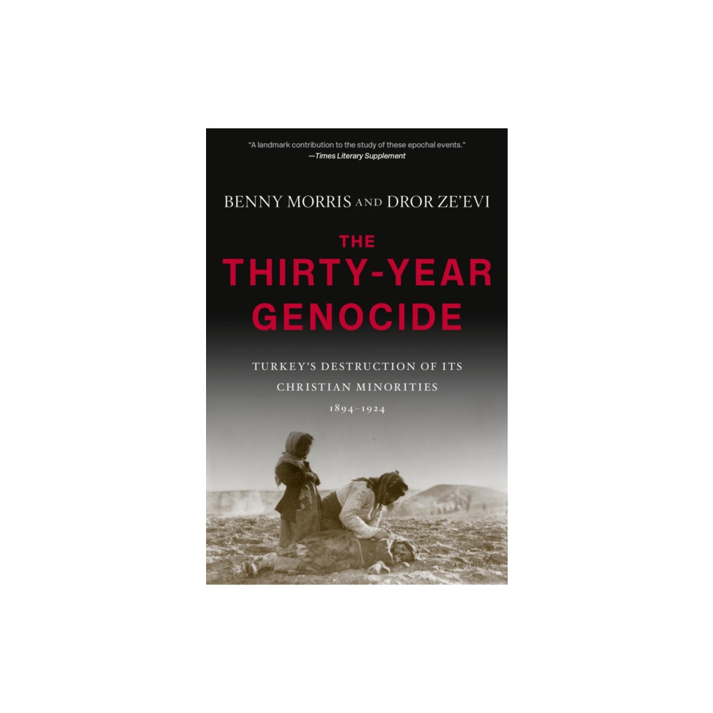 Produktbild för The Thirty-Year Genocide (häftad, eng)