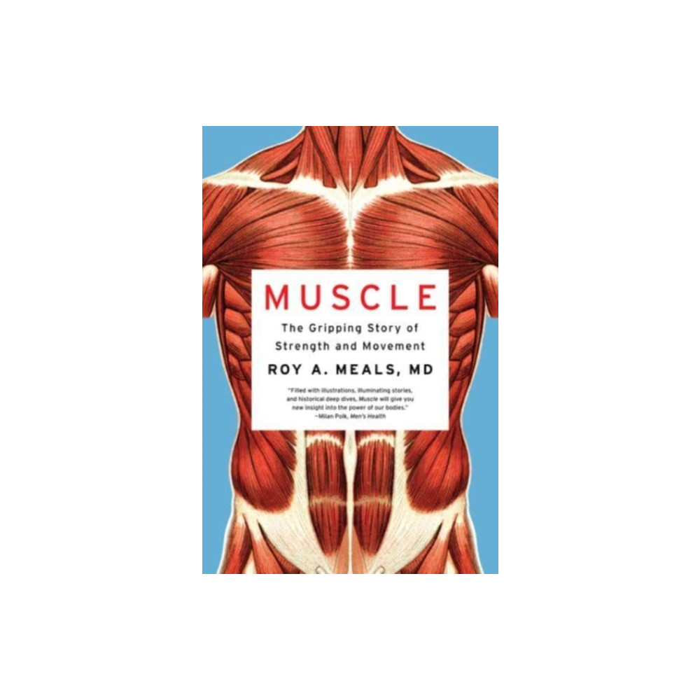 Produktbild för Muscle (häftad, eng)