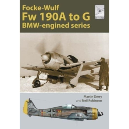 Pen & Sword Books Ltd Flight Craft Special 2: The Focke-Wulf Fw 190 (häftad, eng)