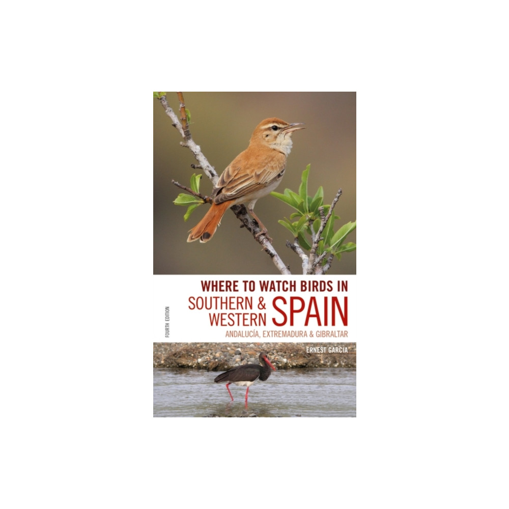 Produktbild för Where to Watch Birds in Southern and Western Spain (häftad, eng)