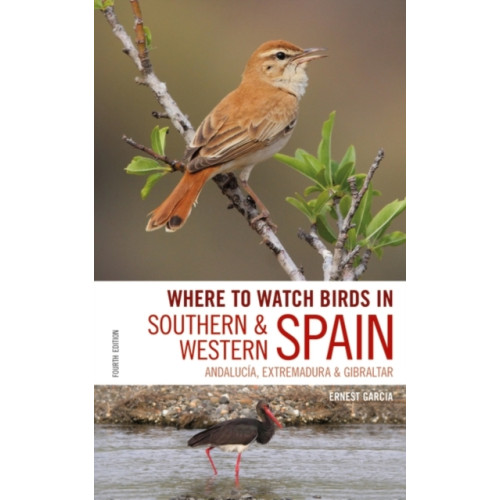 Bloomsbury Publishing PLC Where to Watch Birds in Southern and Western Spain (häftad, eng)