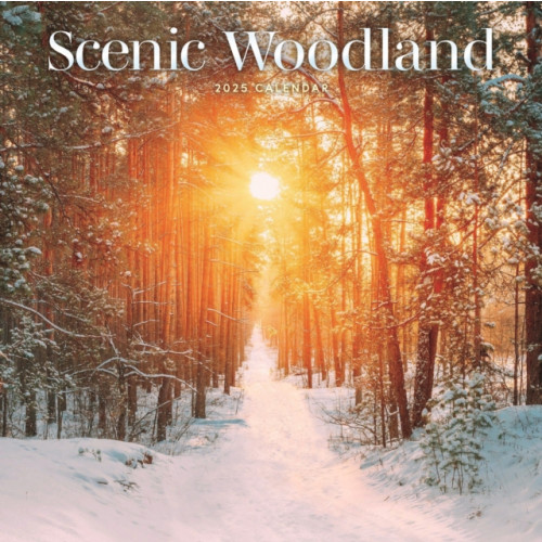 Carousel Calendars Scenic Woodland Square Wall Calendar 2025 (häftad, eng)