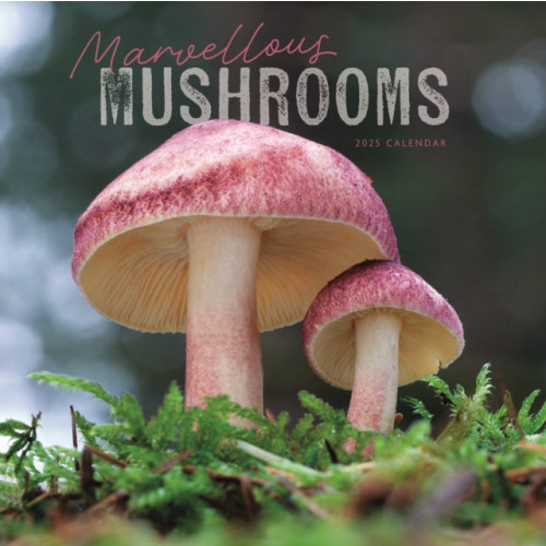 Carousel Calendars Marvellous Mushrooms Square Wall Calendar 2025 (häftad, eng)