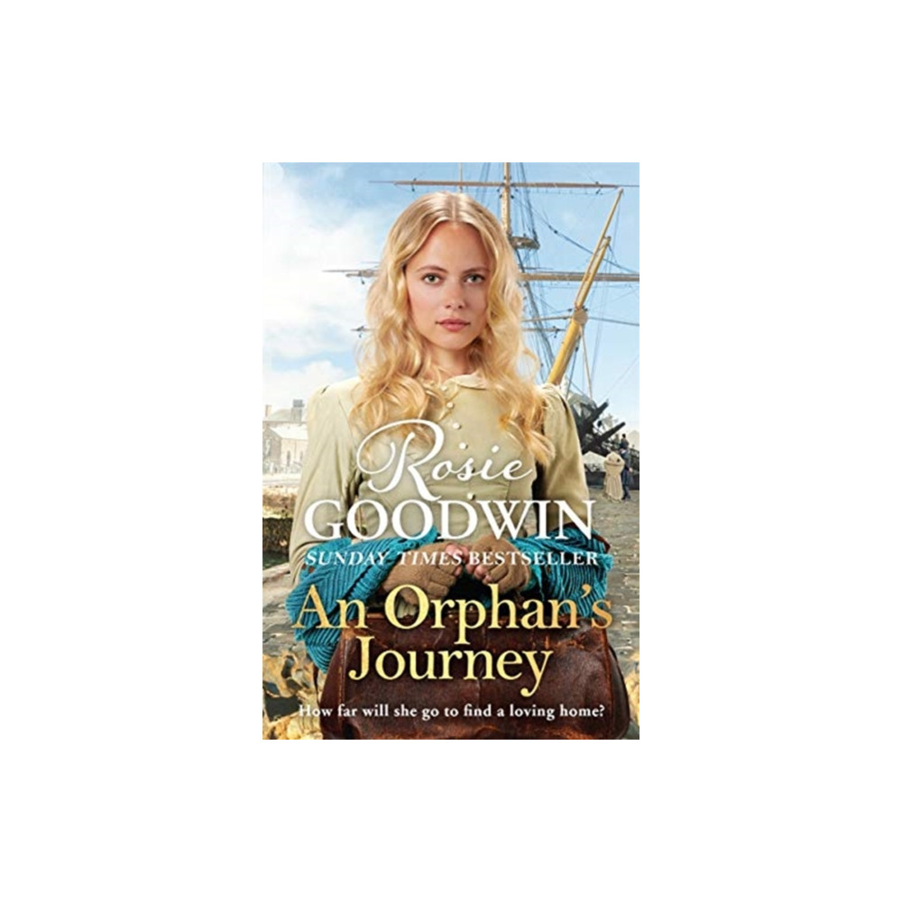 Produktbild för An Orphan's Journey (häftad, eng)