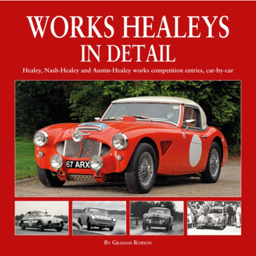 Herridge & Sons Ltd Works Healeys In Detail (inbunden, eng)