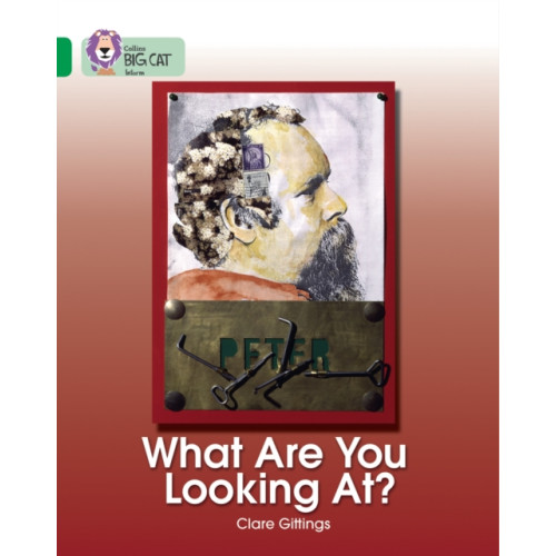 HarperCollins Publishers What Are You Looking At? (häftad, eng)