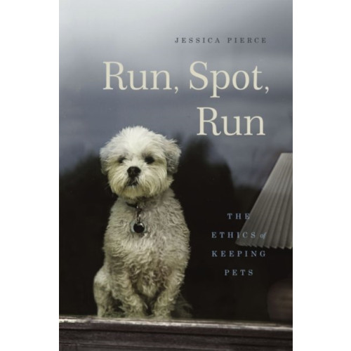 The university of chicago press Run, Spot, Run (inbunden, eng)