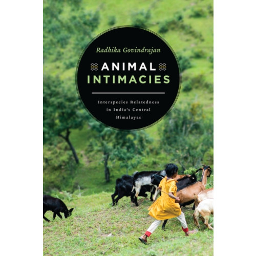 The university of chicago press Animal Intimacies (häftad, eng)