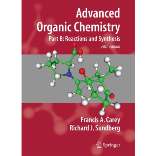 Springer-Verlag New York Inc. Advanced Organic Chemistry (häftad, eng)