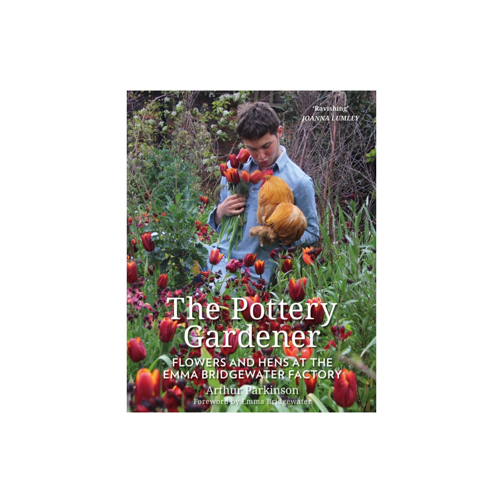 Produktbild för The Pottery Gardener (häftad, eng)