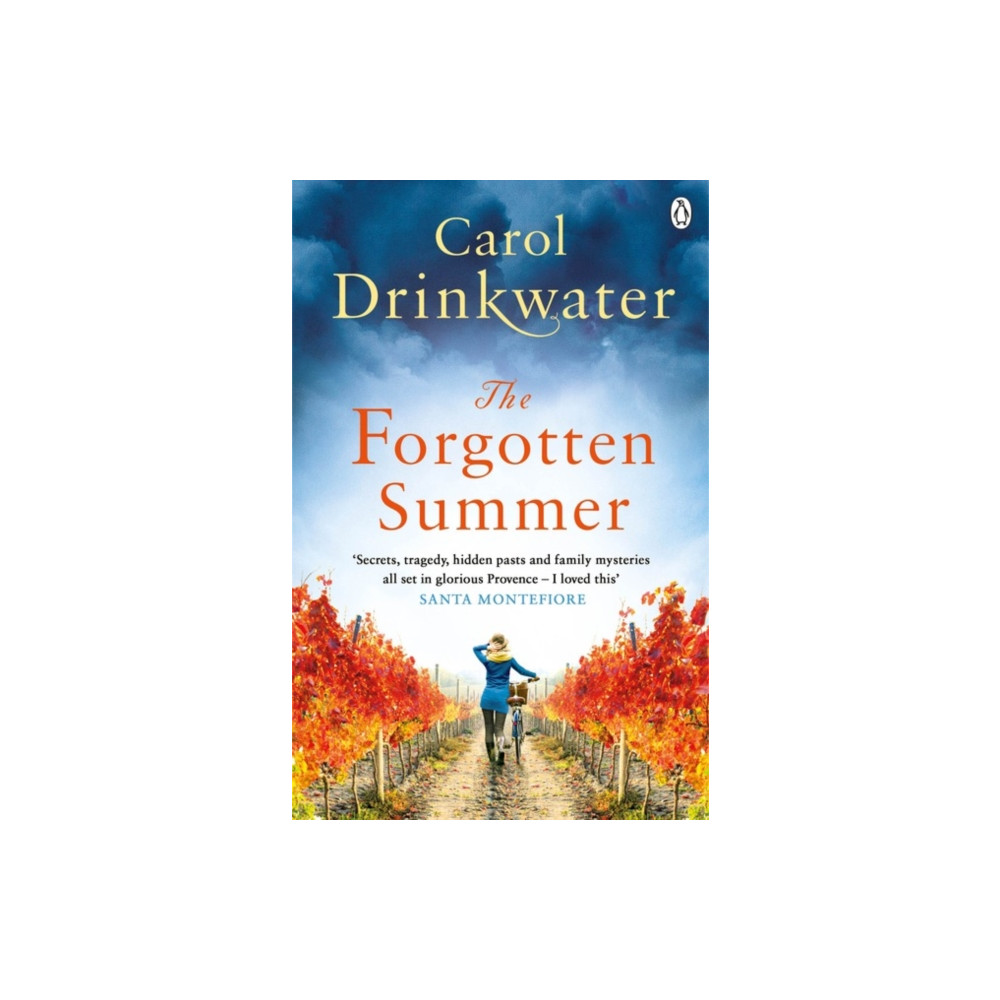 Produktbild för The Forgotten Summer (häftad, eng)