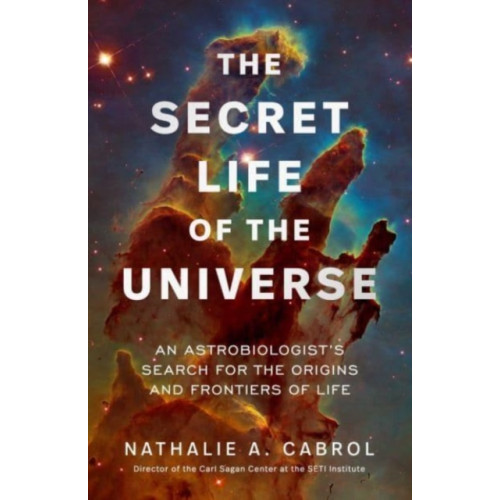 Simon & Schuster UK The Secret Life of the Universe (häftad, eng)