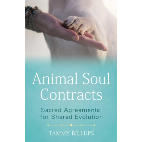 Inner Traditions Bear and Company Animal Soul Contracts (häftad, eng)