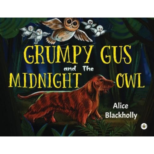 Olympia Publishers Grumpy Gus and The Midnight Owl (häftad, eng)