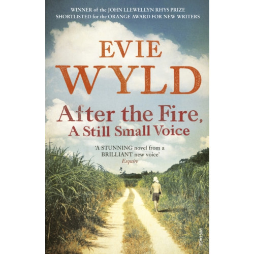 Vintage Publishing After the Fire, A Still Small Voice (häftad, eng)