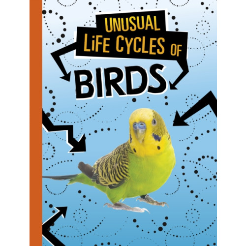 Capstone Global Library Ltd Unusual Life Cycles of Birds (häftad, eng)