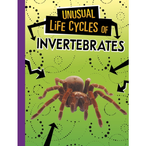 Capstone Global Library Ltd Unusual Life Cycles of Invertebrates (häftad, eng)