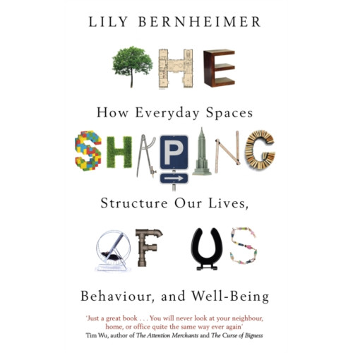 Little, Brown Book Group The Shaping of Us (häftad, eng)