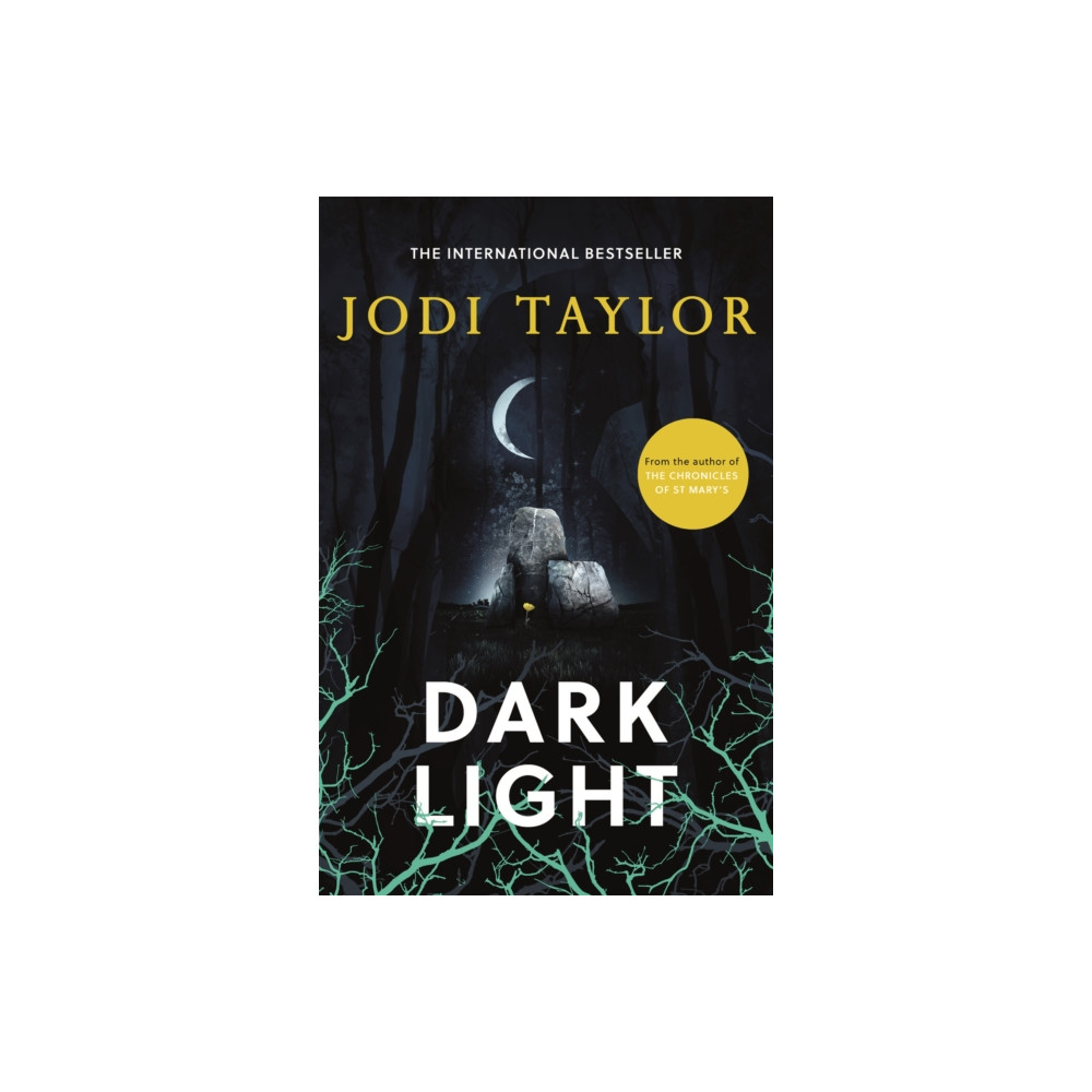 Produktbild för Dark Light (häftad, eng)