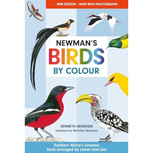 Penguin Random House South Africa Newman's Birds by Colour (häftad, eng)