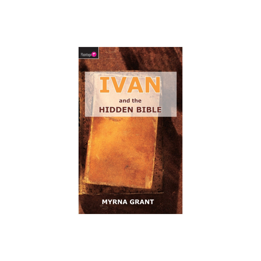 Produktbild för Ivan And the Hidden Bible (häftad, eng)