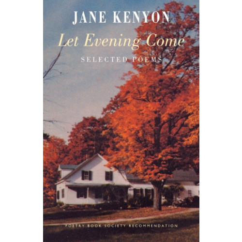 Bloodaxe Books Ltd Let Evening Come (häftad, eng)