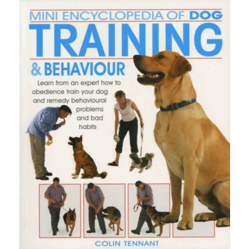 Interpet Publishing Mini Encyclopedia of Dog Training and Behaviour (häftad, eng)