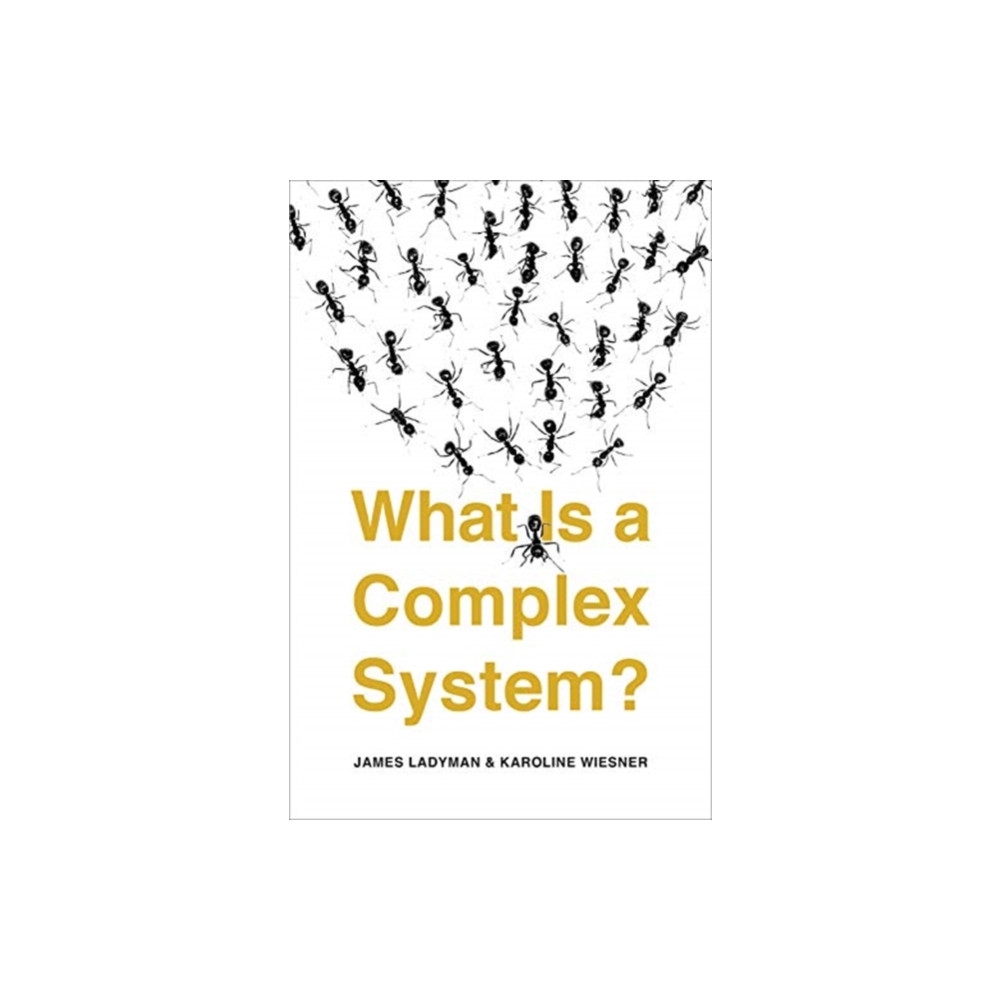 Produktbild för What Is a Complex System? (häftad, eng)