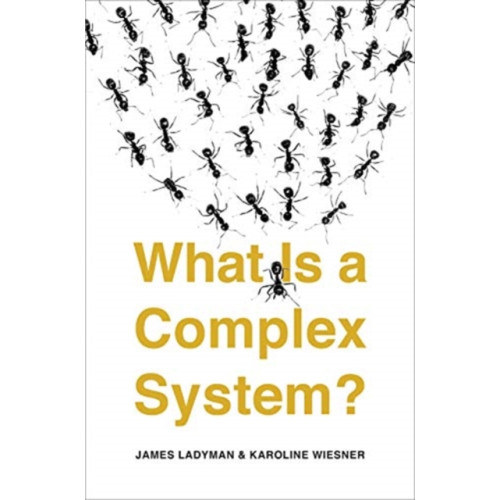 Yale university press What Is a Complex System? (häftad, eng)