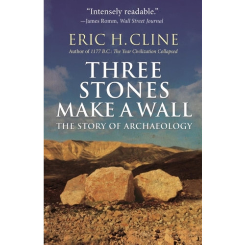 Princeton University Press Three Stones Make a Wall (häftad, eng)