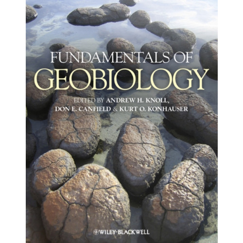 John Wiley And Sons Ltd Fundamentals of Geobiology (häftad, eng)