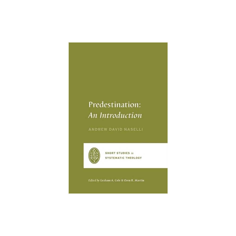Produktbild för Predestination (häftad, eng)