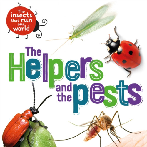 Hachette Children's Group The Insects that Run Our World: The Helpers and the Pests (häftad, eng)